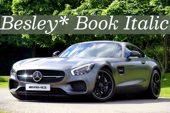 Besley* Book Italic Font examples