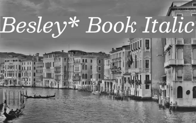 Besley* Book Italic Font examples