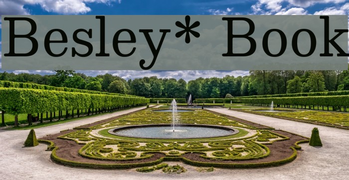 Besley* Book Font examples