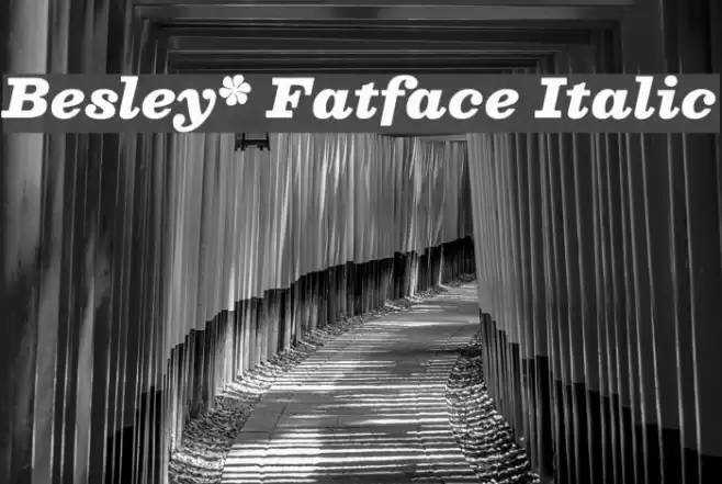 Besley* Fatface Italic Font examples