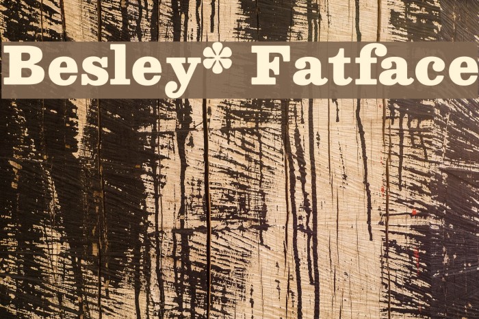 Besley* Fatface Font examples