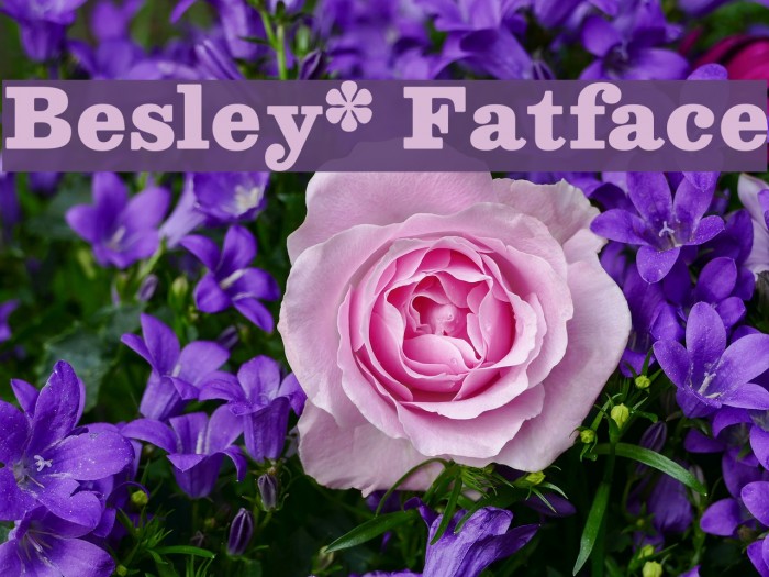 Besley* Fatface Font examples