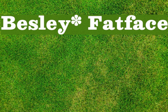 Besley* Fatface Font examples