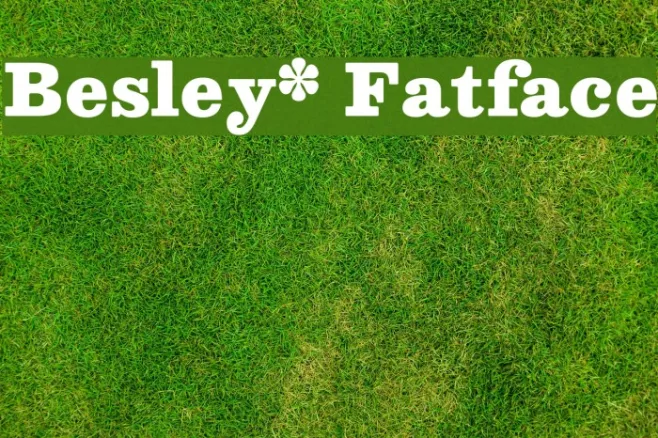 Besley* Fatface Example 3