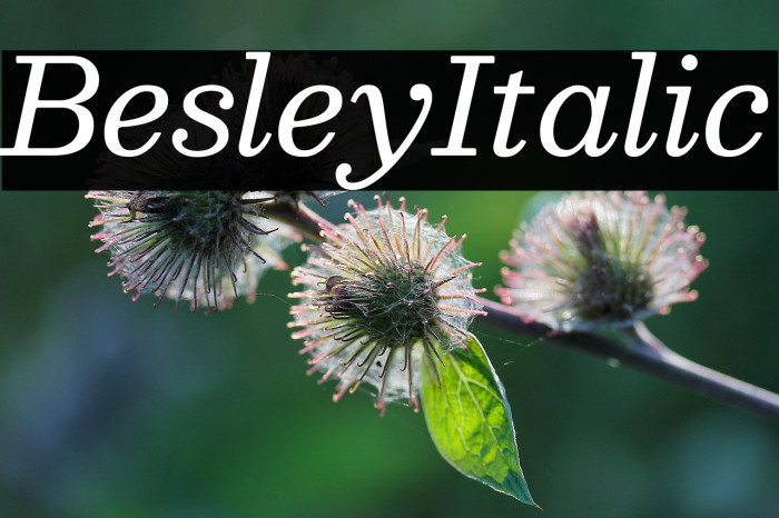 Besley Italic Example 1