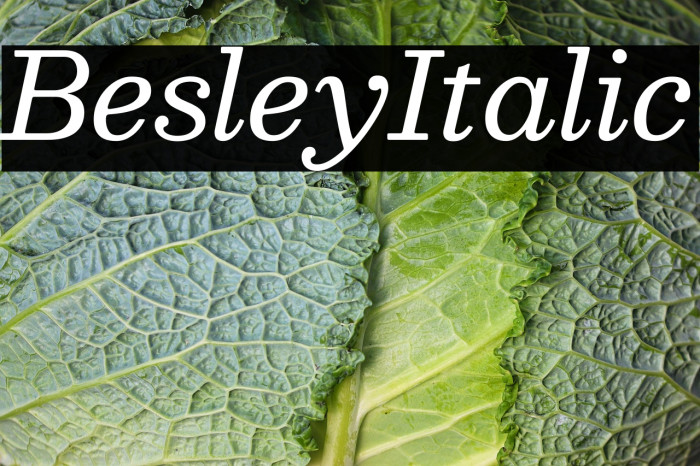 Besley Italic Example 3