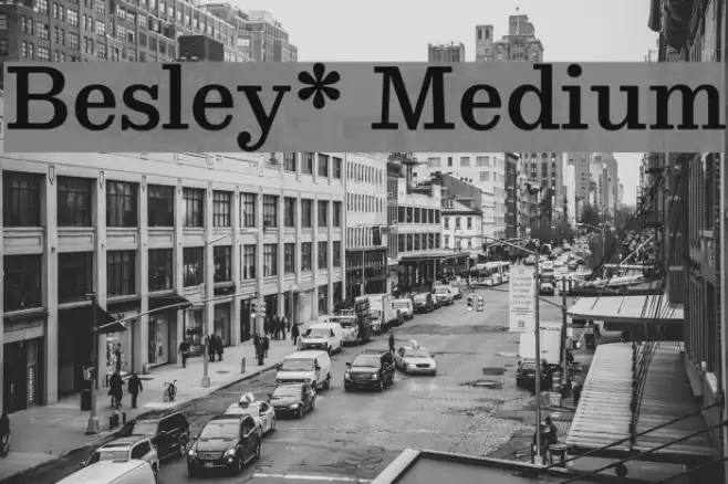 Besley* Medium Font examples