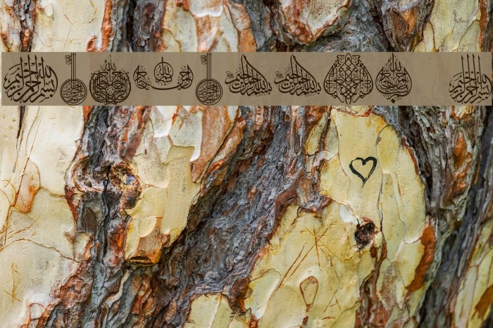 Besmellah 2 Font examples