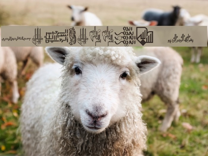 Besmellah 4 Font examples