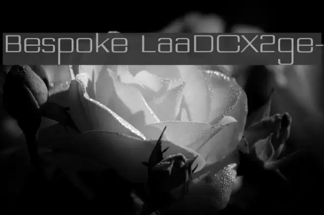 Bespoke LaaDCX2ge- Font examples