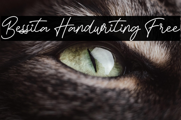 Bessita Handwriting Free Example 3