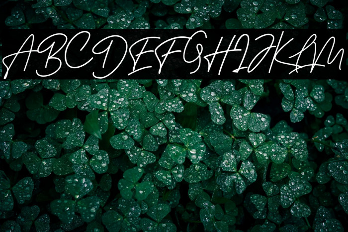 BessitaHandwritingFree Example 2