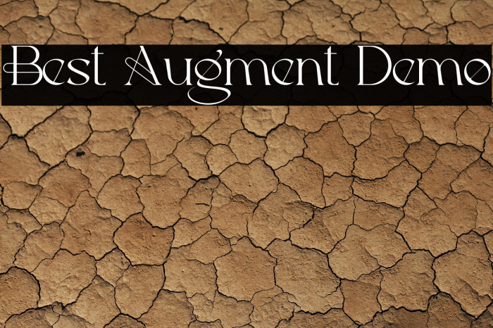 Best Augment Demo Example 1