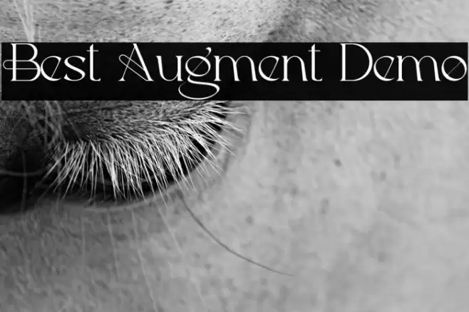 Best Augment Demo Font examples