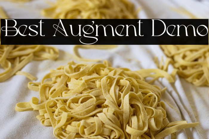 Best Augment Demo Example 3