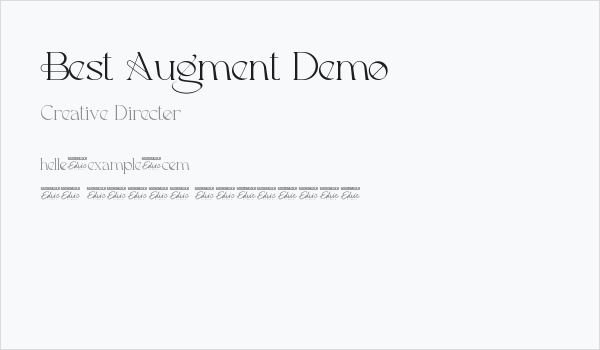 Best Augment Demo Business Card