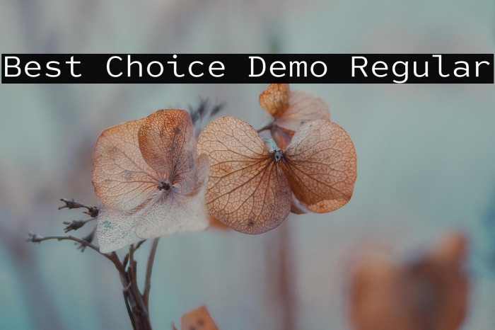 Best Choice Demo Regular Example 2