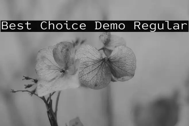 Best Choice Demo Regular Caratteri examples