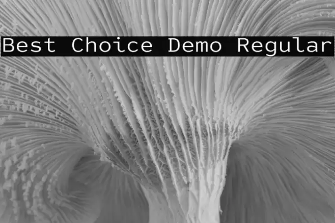 Best Choice Demo Regular Caratteri examples