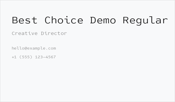 Best Choice Demo Regular Business Card