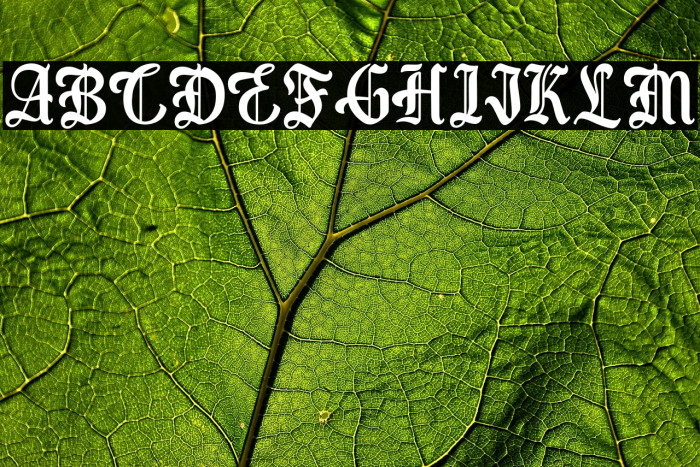 Best Christmas - Personal Use Example 3