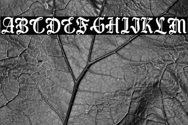 Best Christmas - Personal Use Font examples