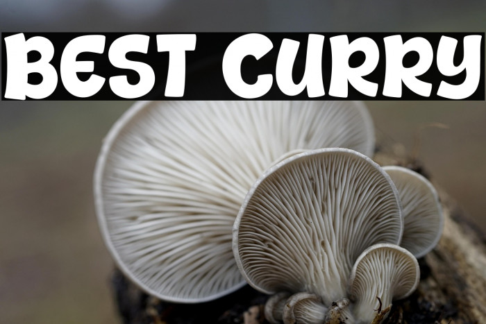 Best Curry Example 3