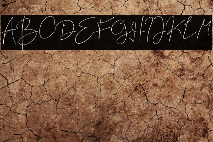 Best Deals Regular Example 1