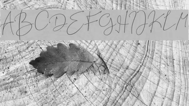 Best Deals Regular Font examples