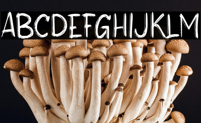 Best Friend Example 3