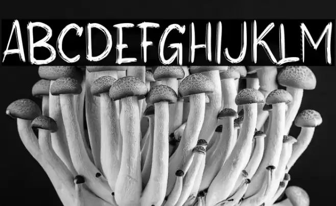 Best Friend Font examples