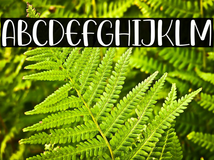 Best Friend Example 1