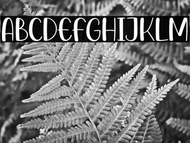 Best Friend Caratteri examples