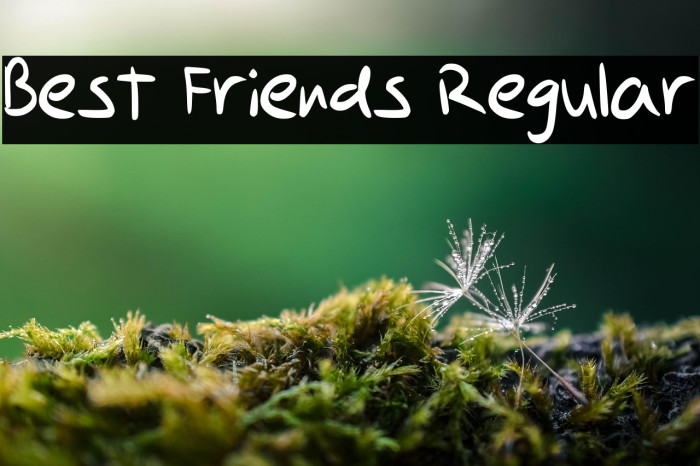 Best Friends Regular Example 3