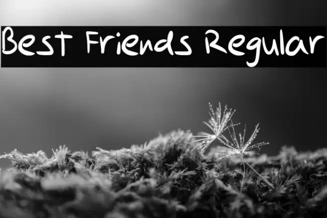 Best Friends Regular Font examples