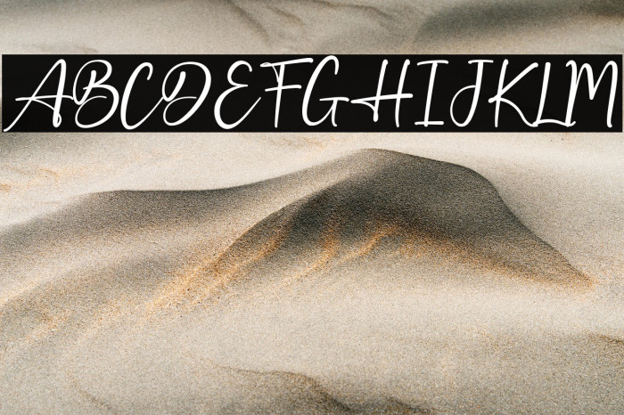 Best Holiday Polices examples