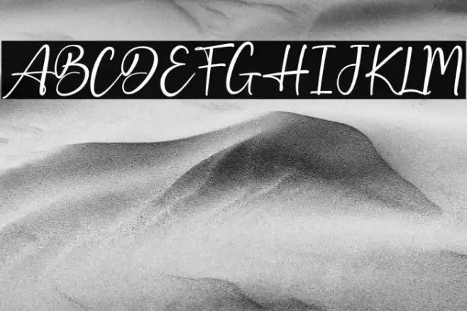 Best Holiday Caratteri examples