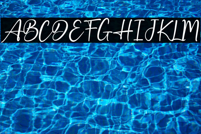 Best Holiday Polices examples