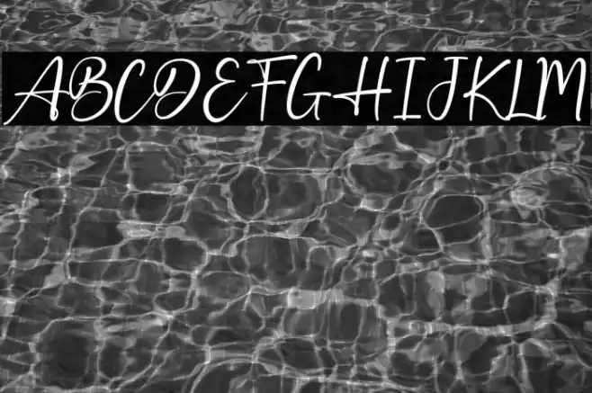 Best Holiday Caratteri examples