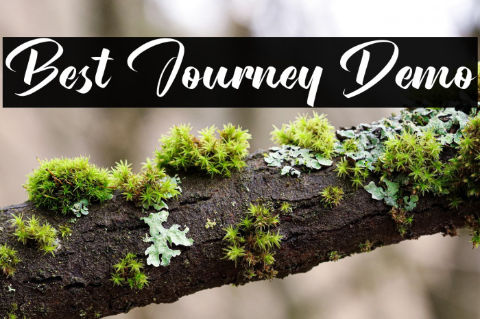 Best Journey Demo Example 2