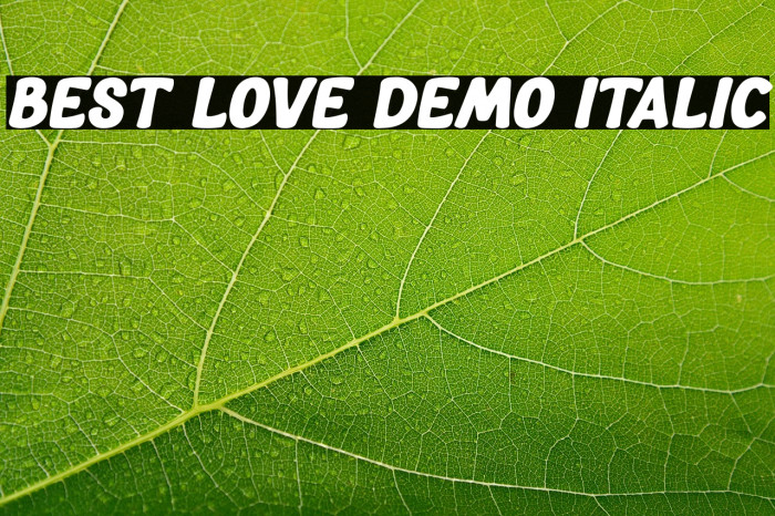 Best Love DEMO Italic Example 1