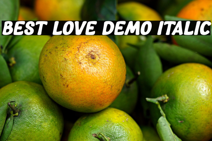 Best Love DEMO Italic Example 2