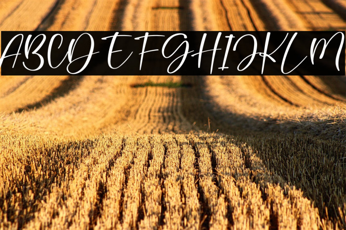 Best Moment Example 1