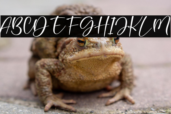 Best Moment Example 2