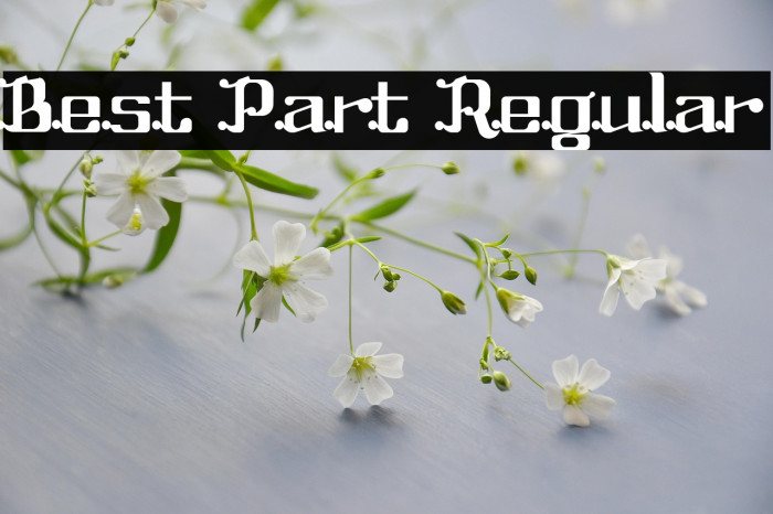 Best Part Regular Example 1