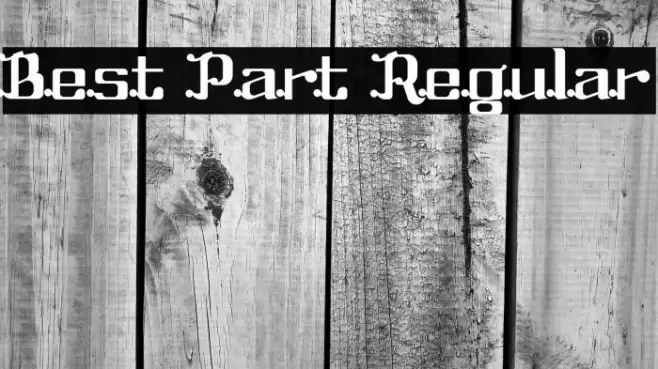 Best Part Regular Font examples