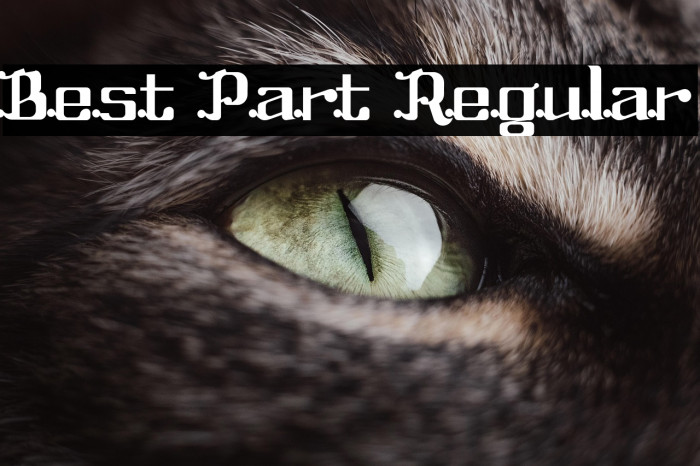 Best Part Regular Example 3