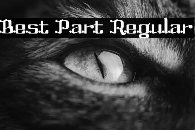 Best Part Regular Font examples