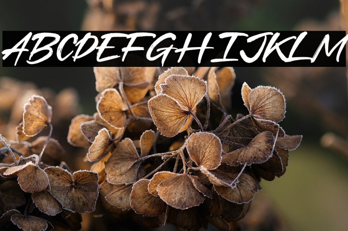 Best Regards Example 1