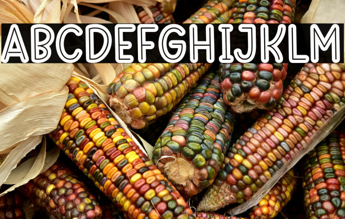 Best School Outline Example 1